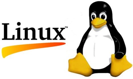 Linux User Fundamentals 101